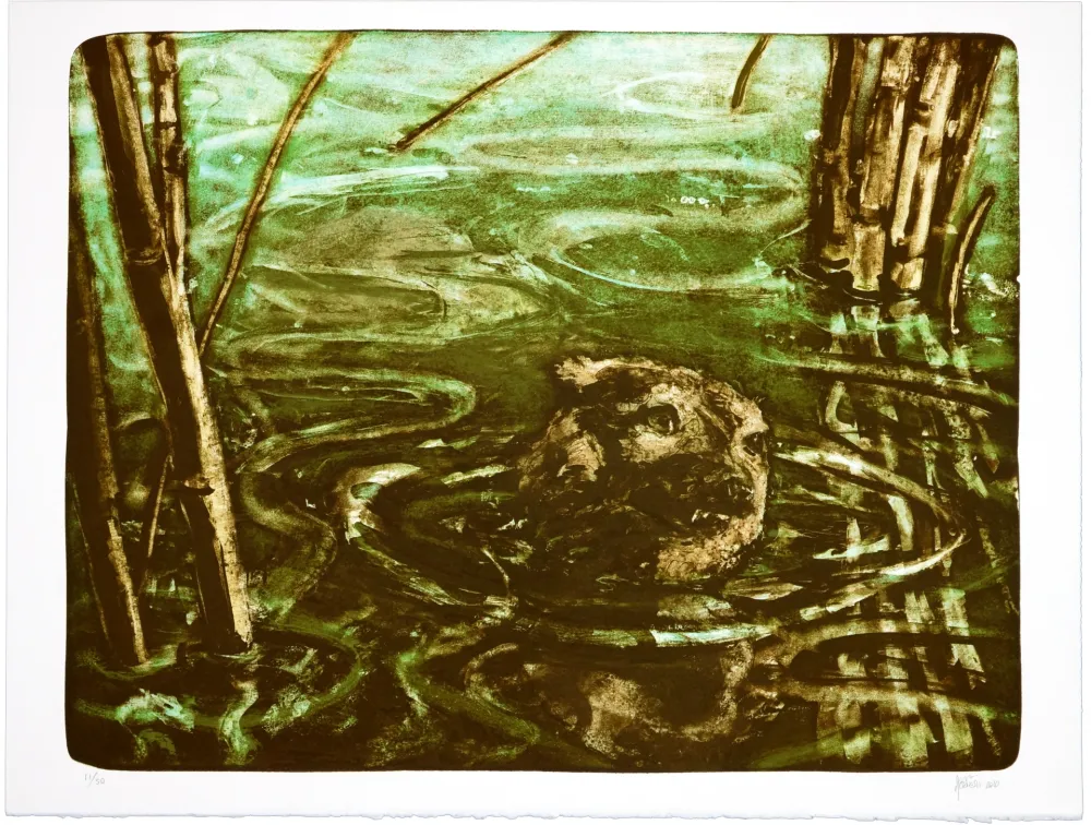 リトグラフ Aceves Humana - Sans titre