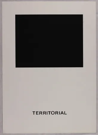 シルクスクリーン Agnetti - Territorial from 'Spazio perduto e spazio costruito' portfolio, Plate B