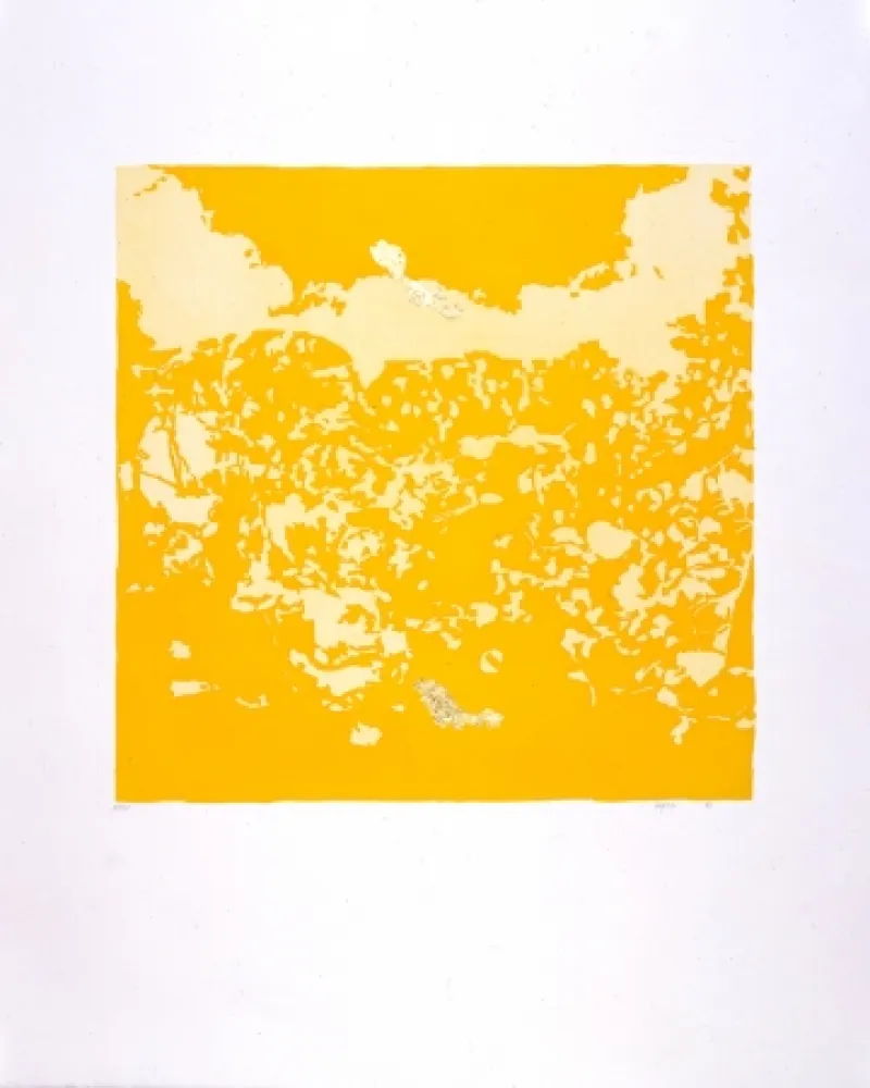 アクチアント Agosti - Orphée N°II