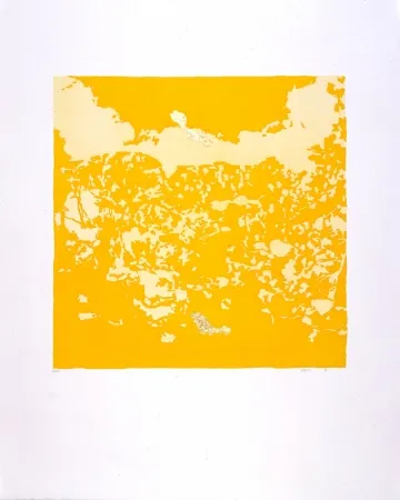 アクチアント Agosti - Orphée N°II