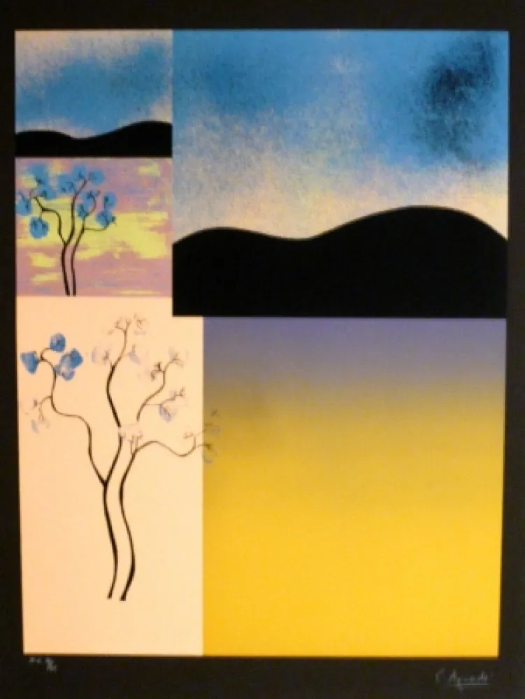 シルクスクリーン Aguade - Analitica 2