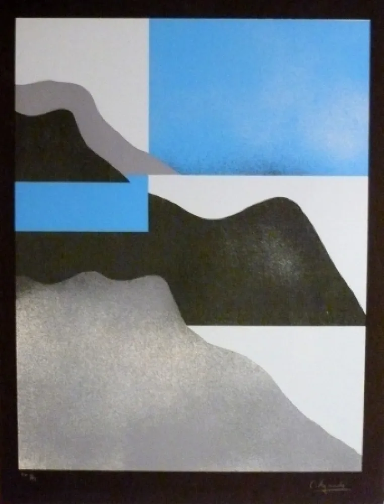 シルクスクリーン Aguadé - Analitica 3