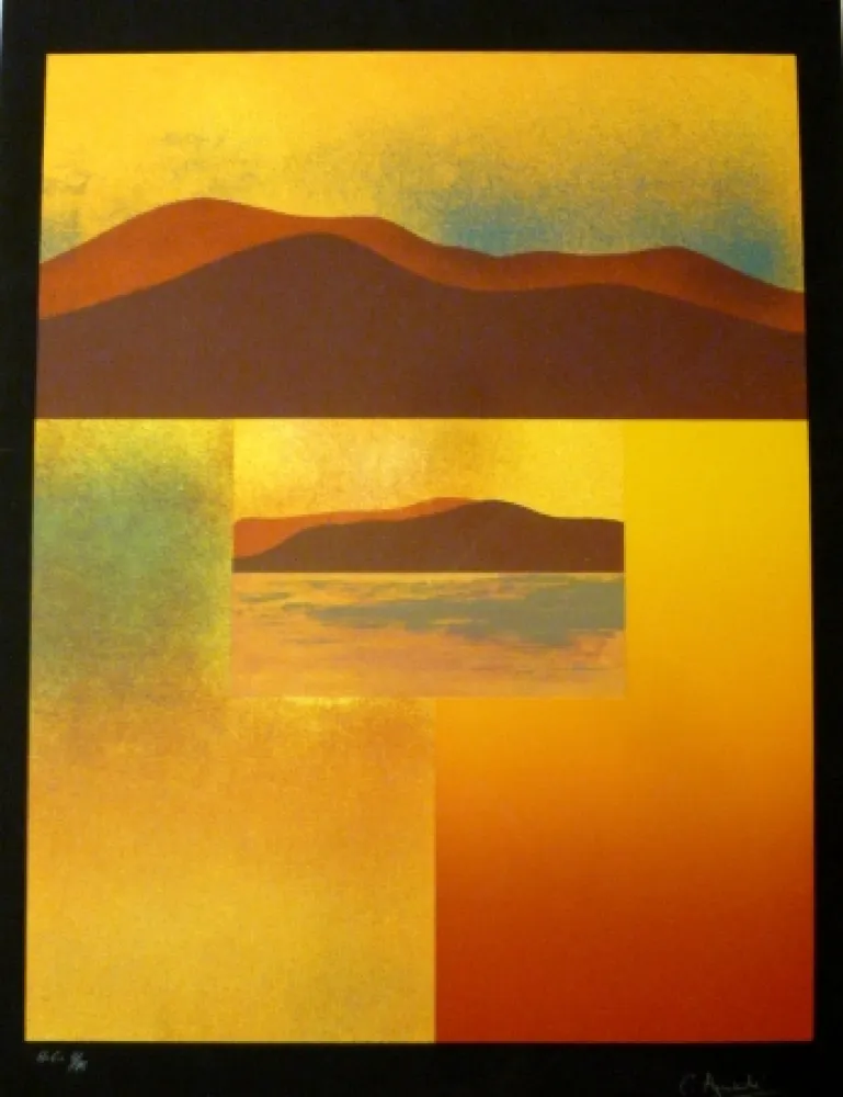 シルクスクリーン Aguadé - Analitica 4