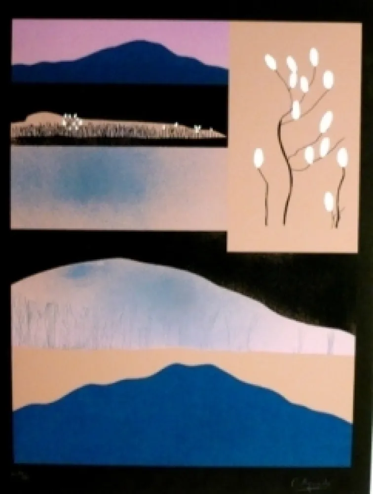 シルクスクリーン Aguade - Analitica 6