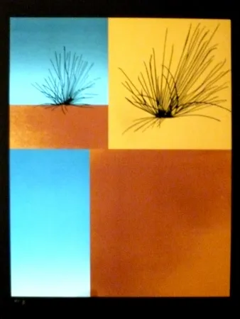 シルクスクリーン Aguade - Analitica 7