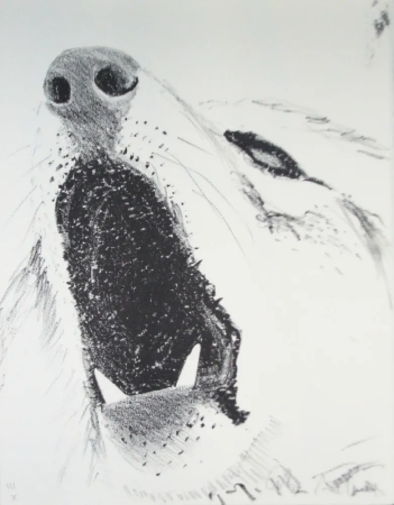 挿絵入り本 Aillaud - L'Encyclopédie de tous les animaux - Tome III