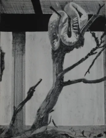 リトグラフ Aillaud - Serpent