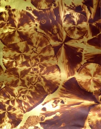 写真 Albin Guillot - Micrographie décorative