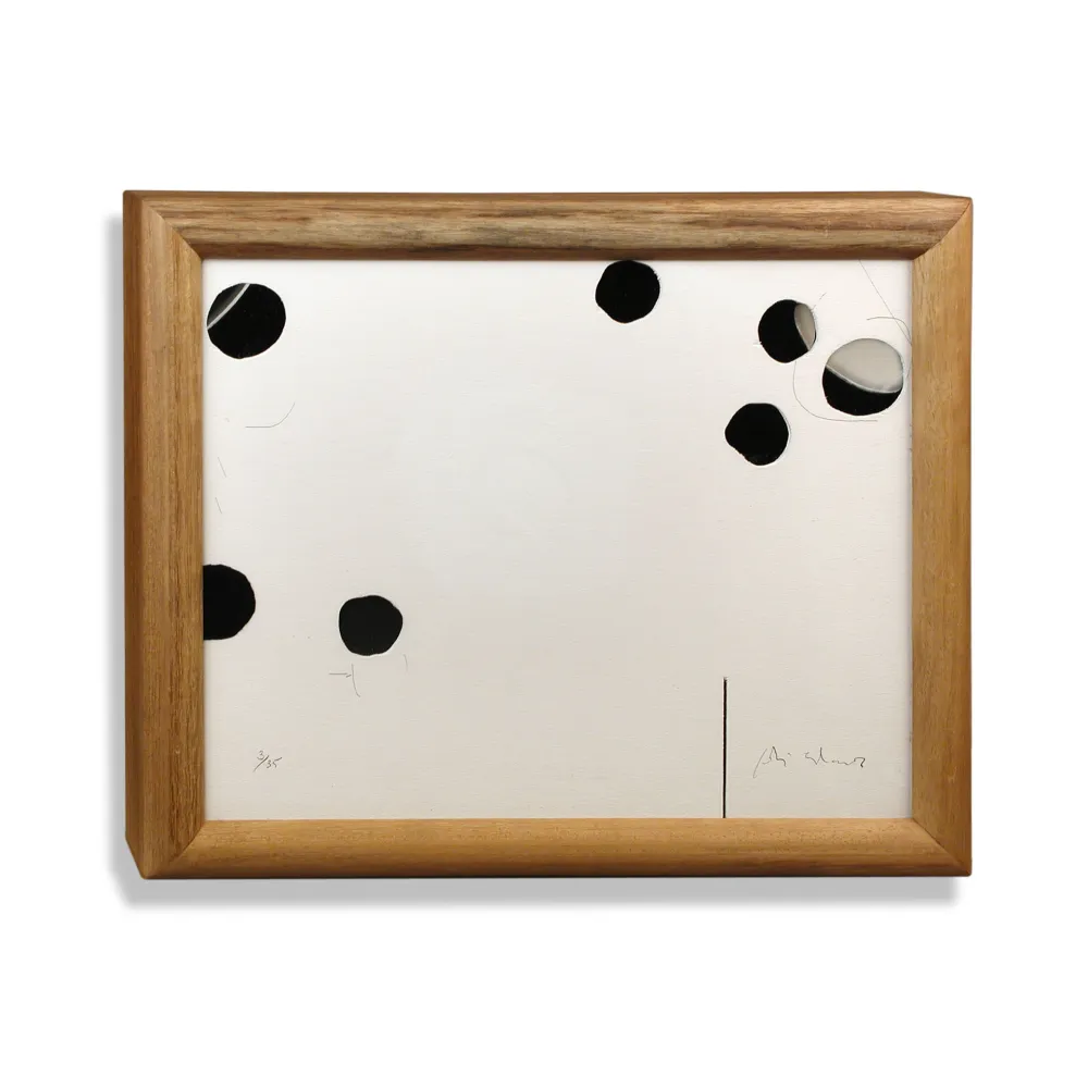 多数の Alcaraz - Interior