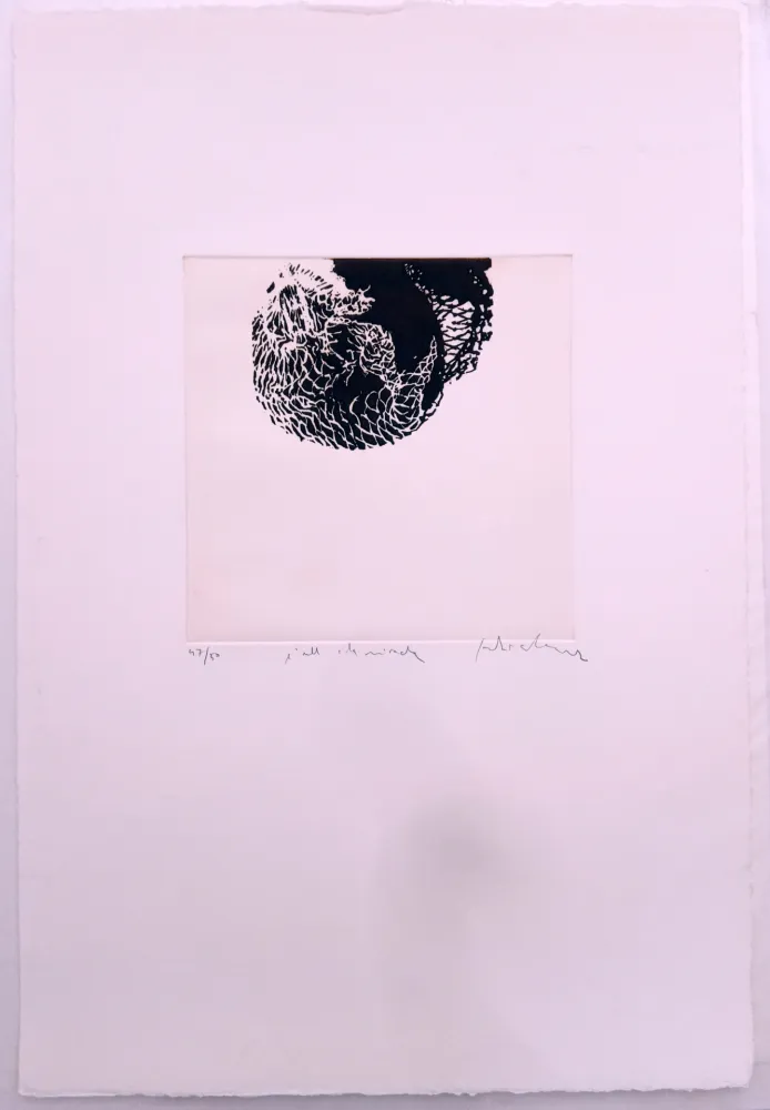 エッチング Alcaraz - L'ull i la mirada