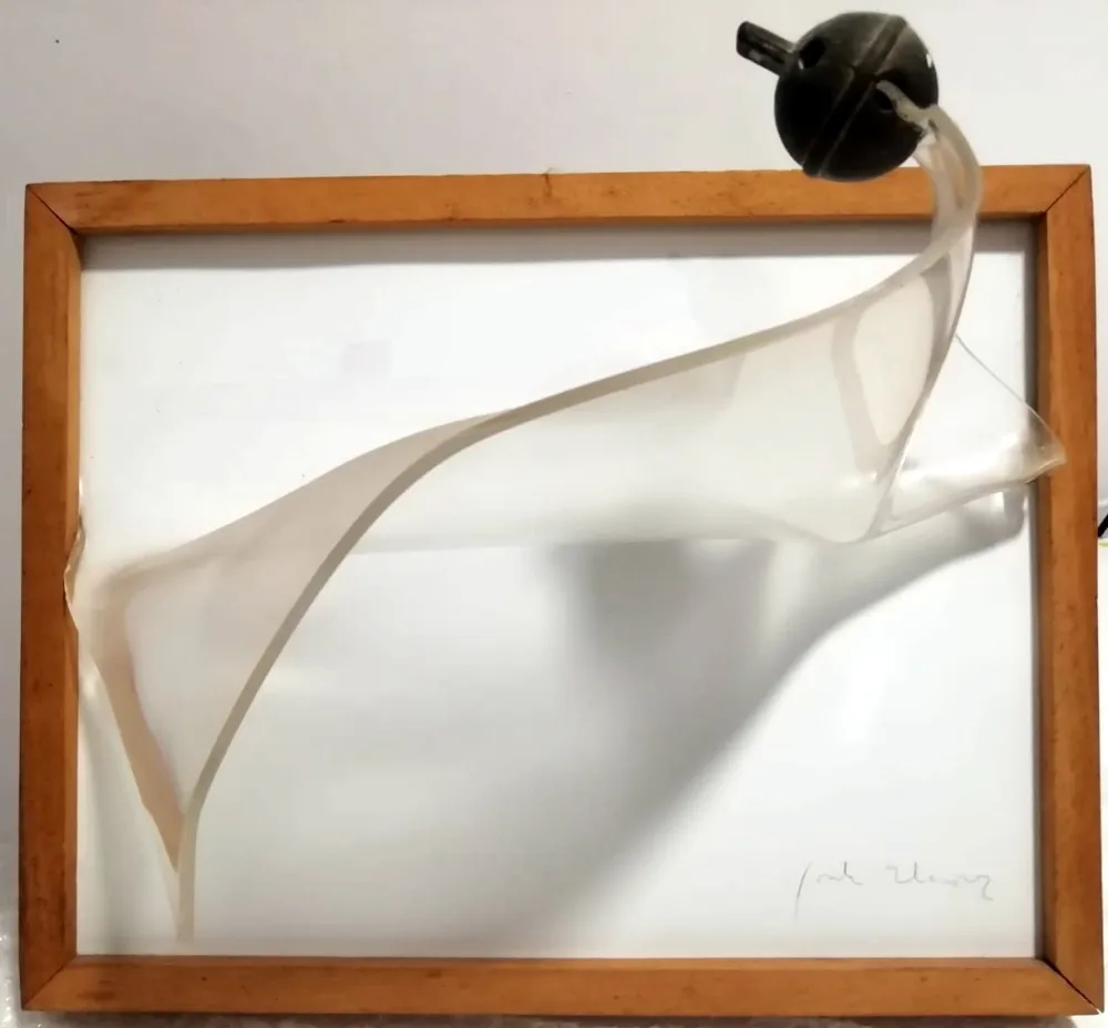 多数の Alcaraz - S/t