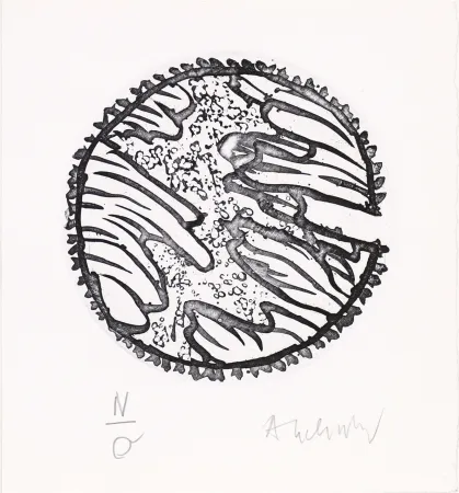 エッチングと　アクチアント Alechinsky - Chronique de la neige