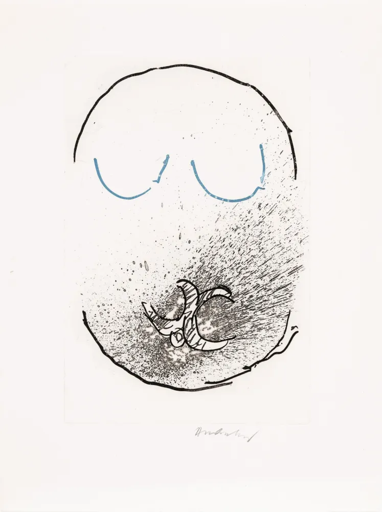 エッチングと　アクチアント Alechinsky - Pointes Planche IX bis