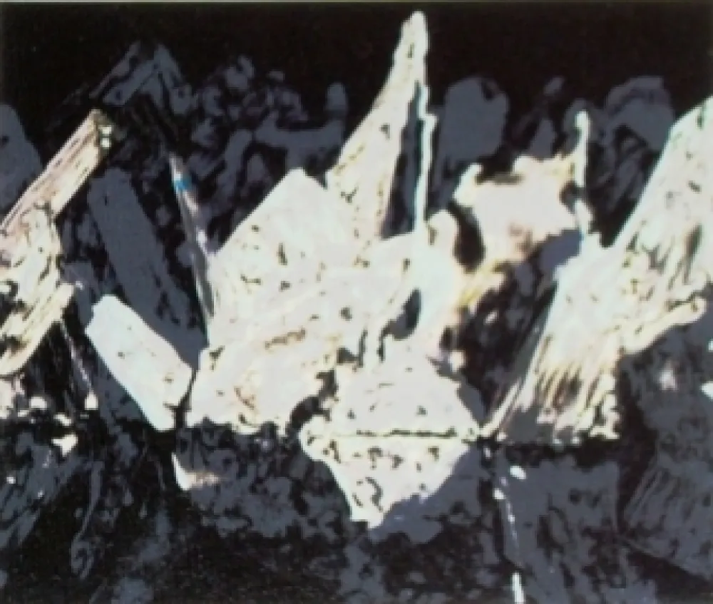 リトグラフ Alexander - Sans titre