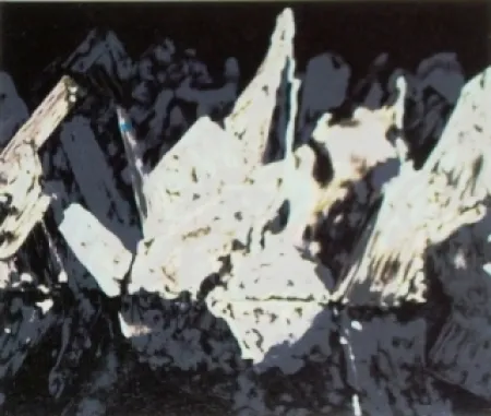 リトグラフ Alexander - Sans titre