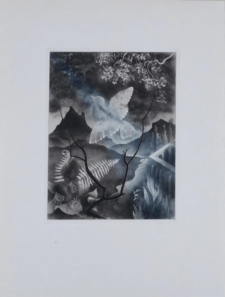 彫版 Alexeïeff - The Dove