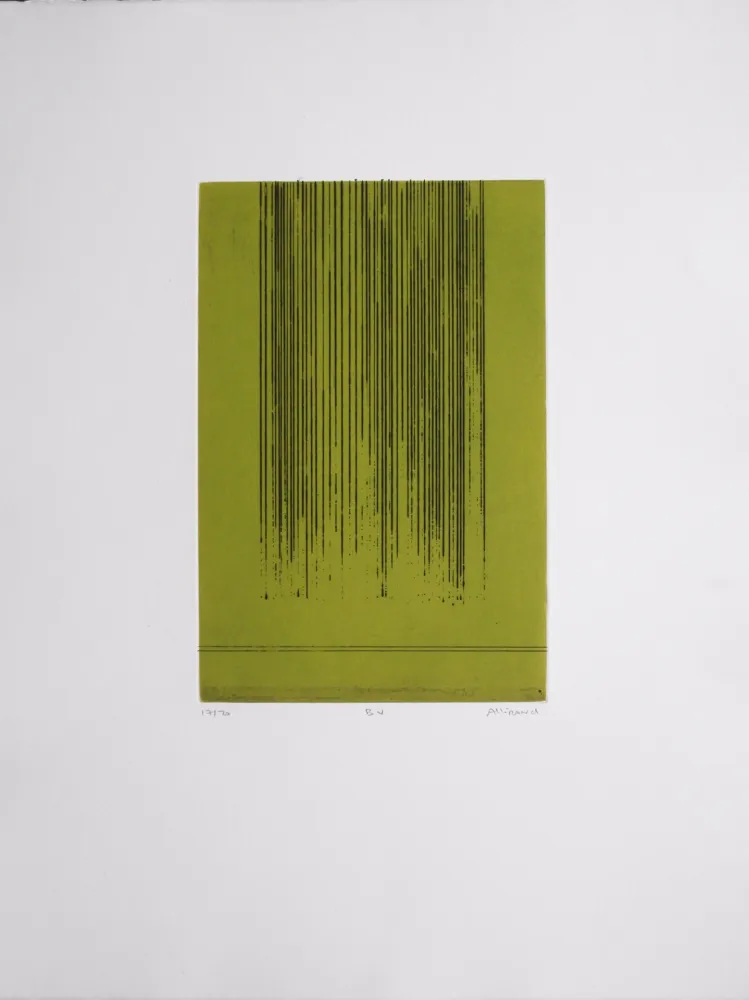 アクチアント Allirand - B V 