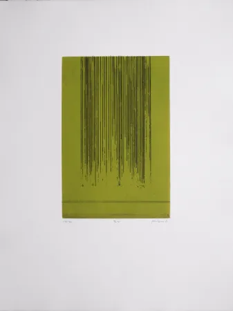 アクチアント Allirand - B V 