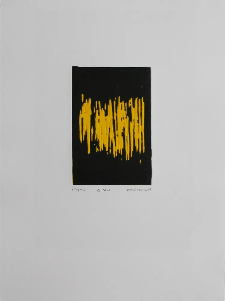 アクチアント Allirand - B XV