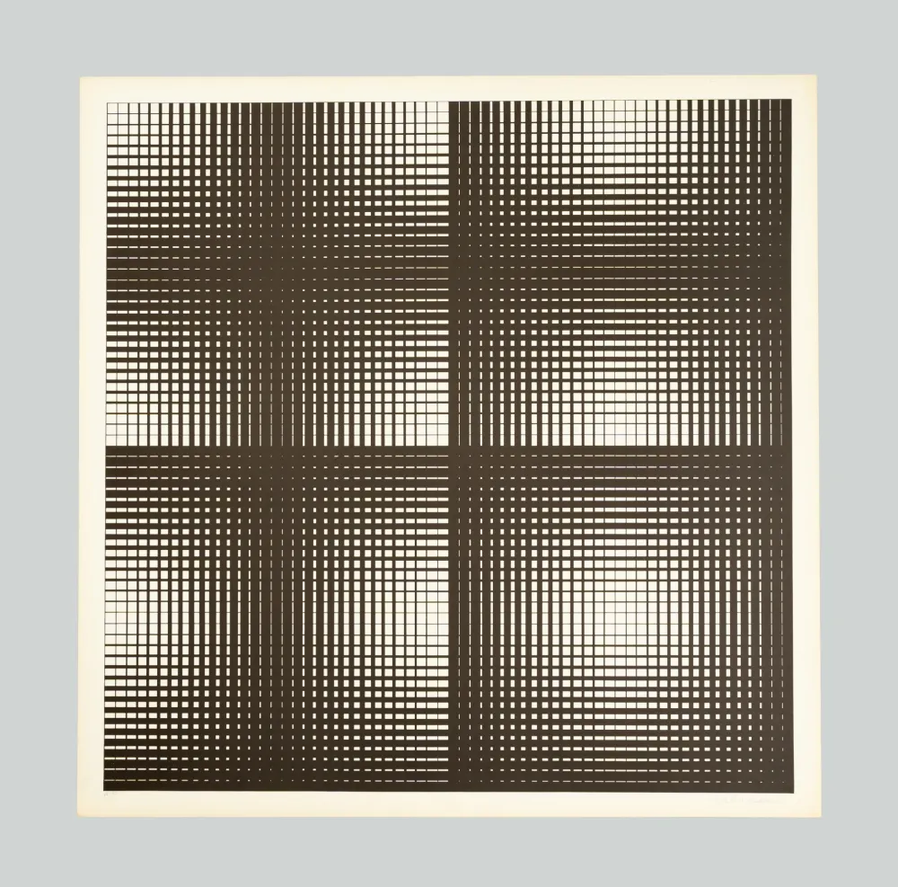 シルクスクリーン Alviani - Programmazione grafica