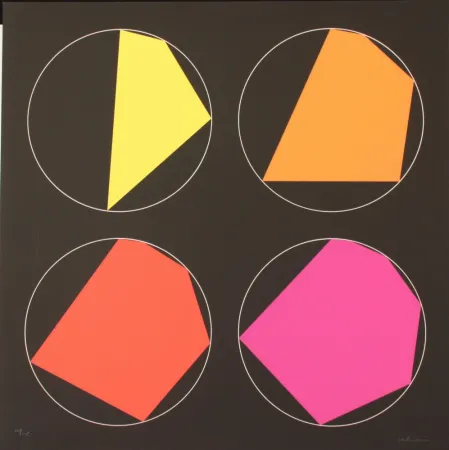 シルクスクリーン Alviani - PROGRESSIVI ISCRITTI NEL CERCHIO