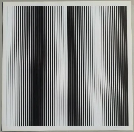 シルクスクリーン Alviani - Senza titolo