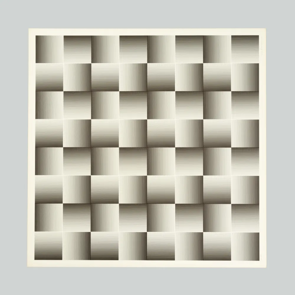 シルクスクリーン Alviani - Testura grafica