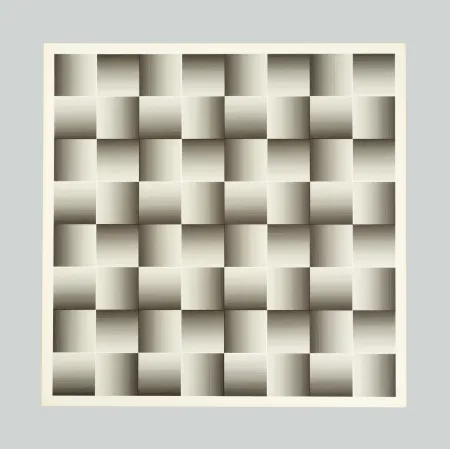 シルクスクリーン Alviani - Testura grafica