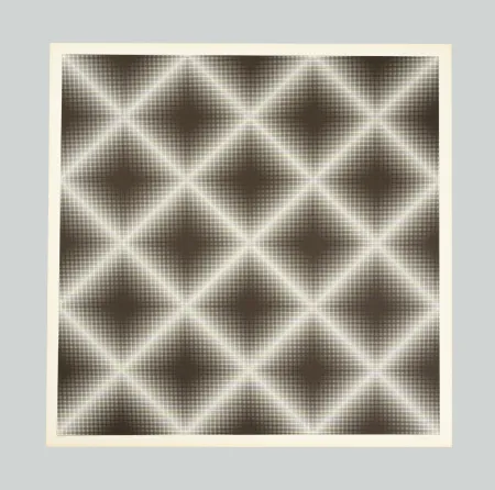 シルクスクリーン Alviani - Testura vibratile