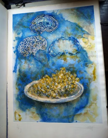 挿絵入り本 Amat - La Ventada del somni