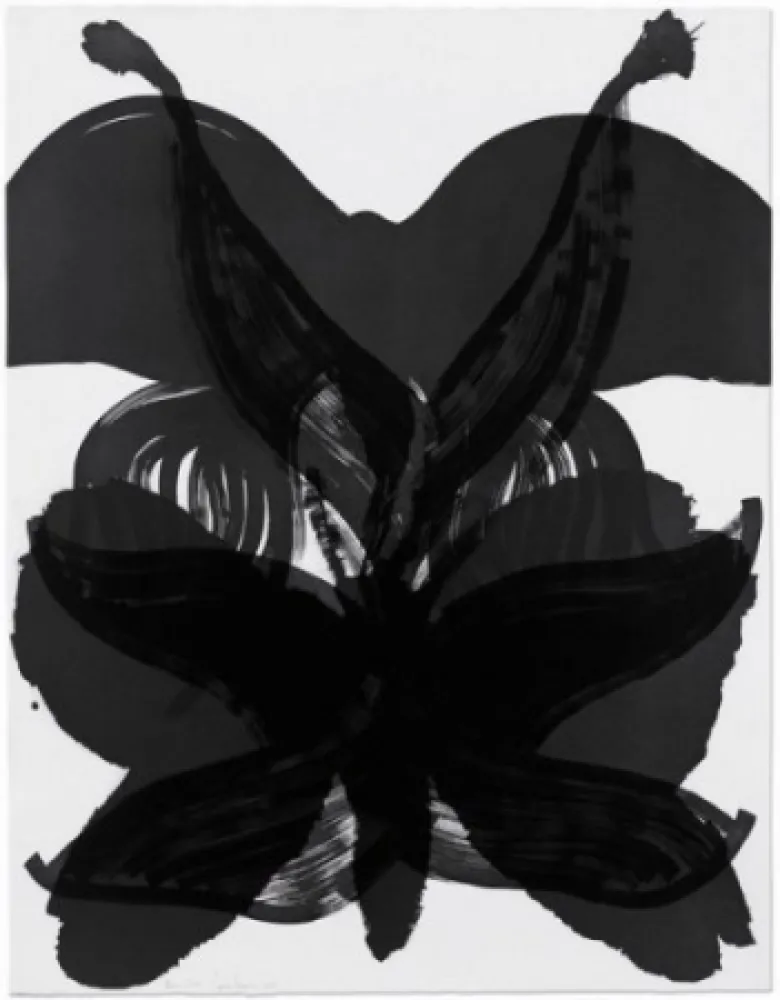 エッチング Amorales - Mod. 2