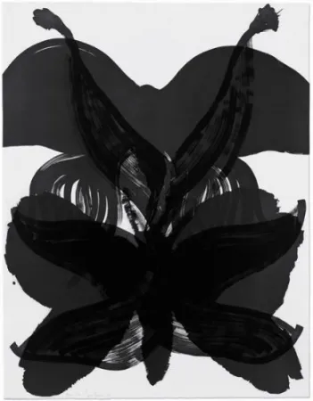 エッチング Amorales - Mod. 2