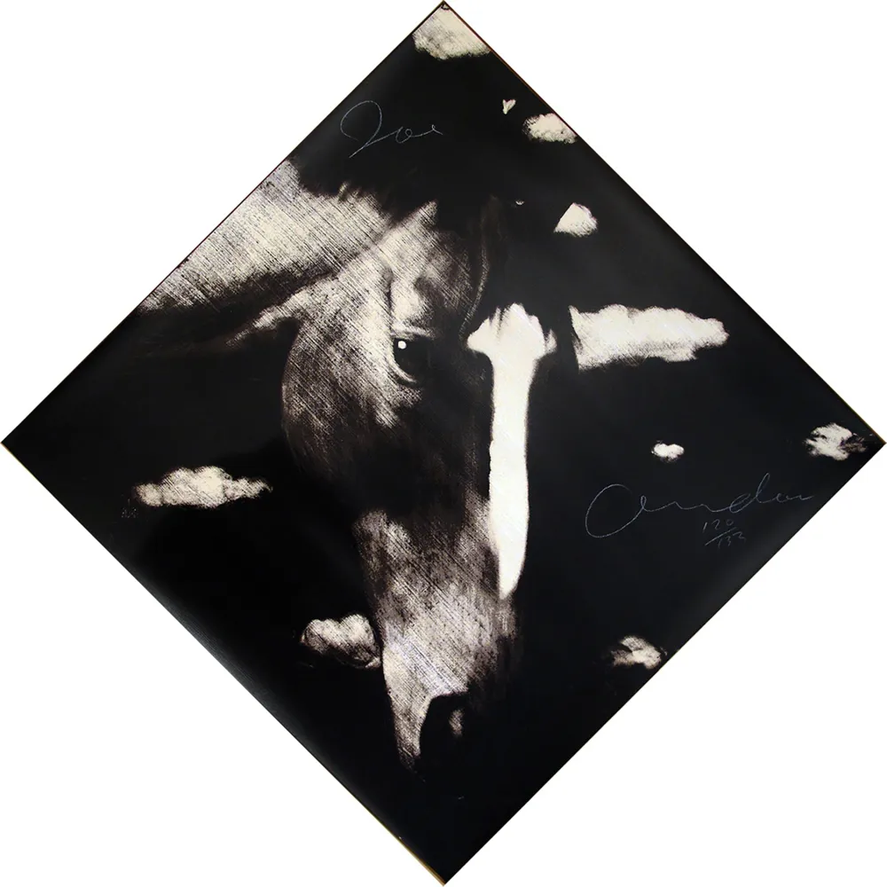 シルクスクリーン Andoe - Horse II