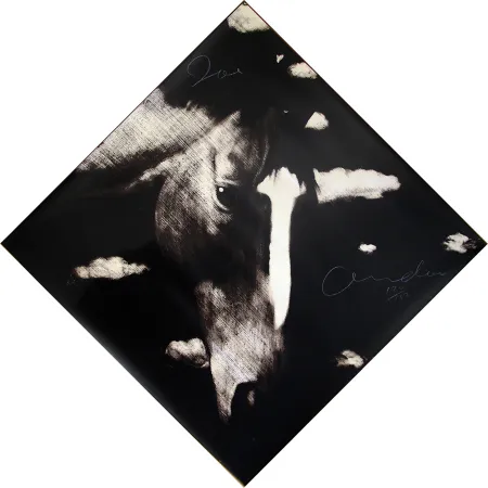 シルクスクリーン Andoe - Horse II