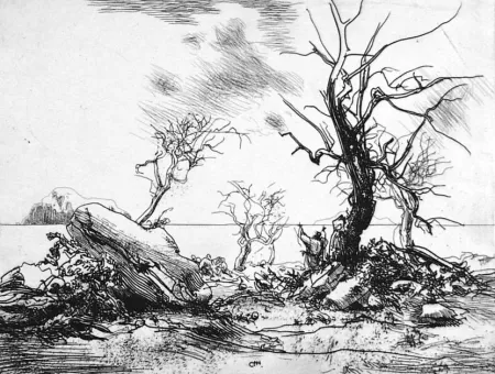 エッチング Annigoni - Paesaggio