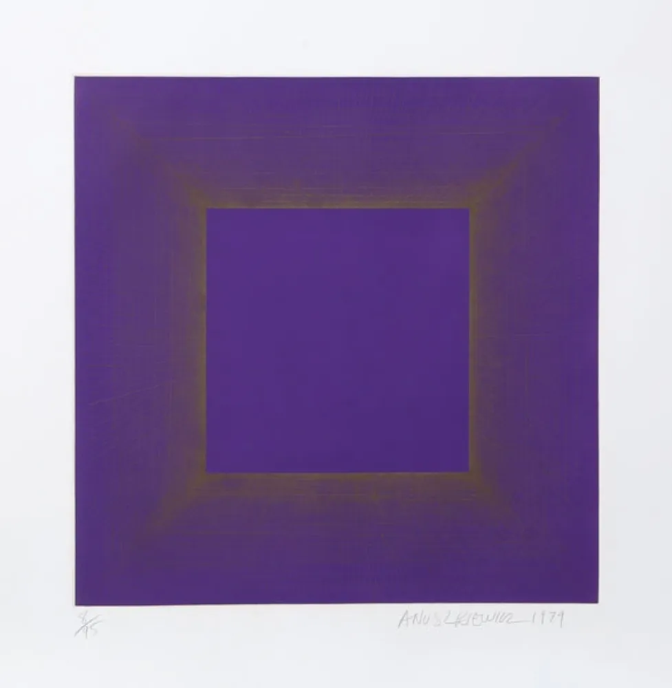 アクチアント Anuszkiewicz - Midnight Suite (Purple with Silver)