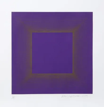 アクチアント Anuszkiewicz - Midnight Suite (Purple with Silver)