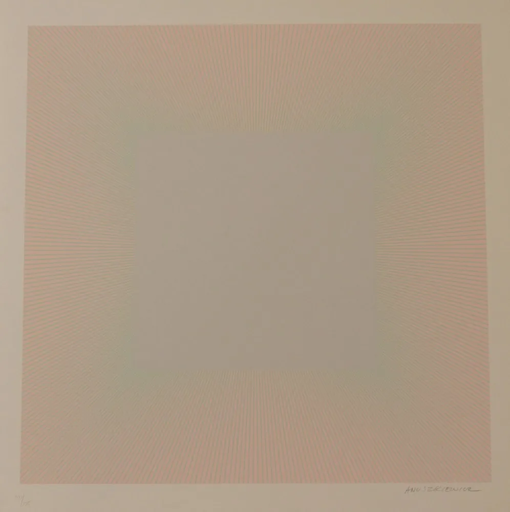 リトグラフ Anuszkiewicz - SOFT, PALE GRAY - EXACTA FROM CONSTRUCTIVISM TO SYSTEMATIC ART 1918-1985