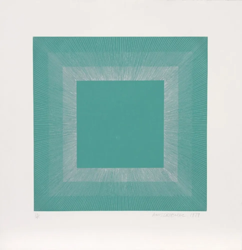 アクチアント Anuszkiewicz - Winter Suite (Green with Silver)