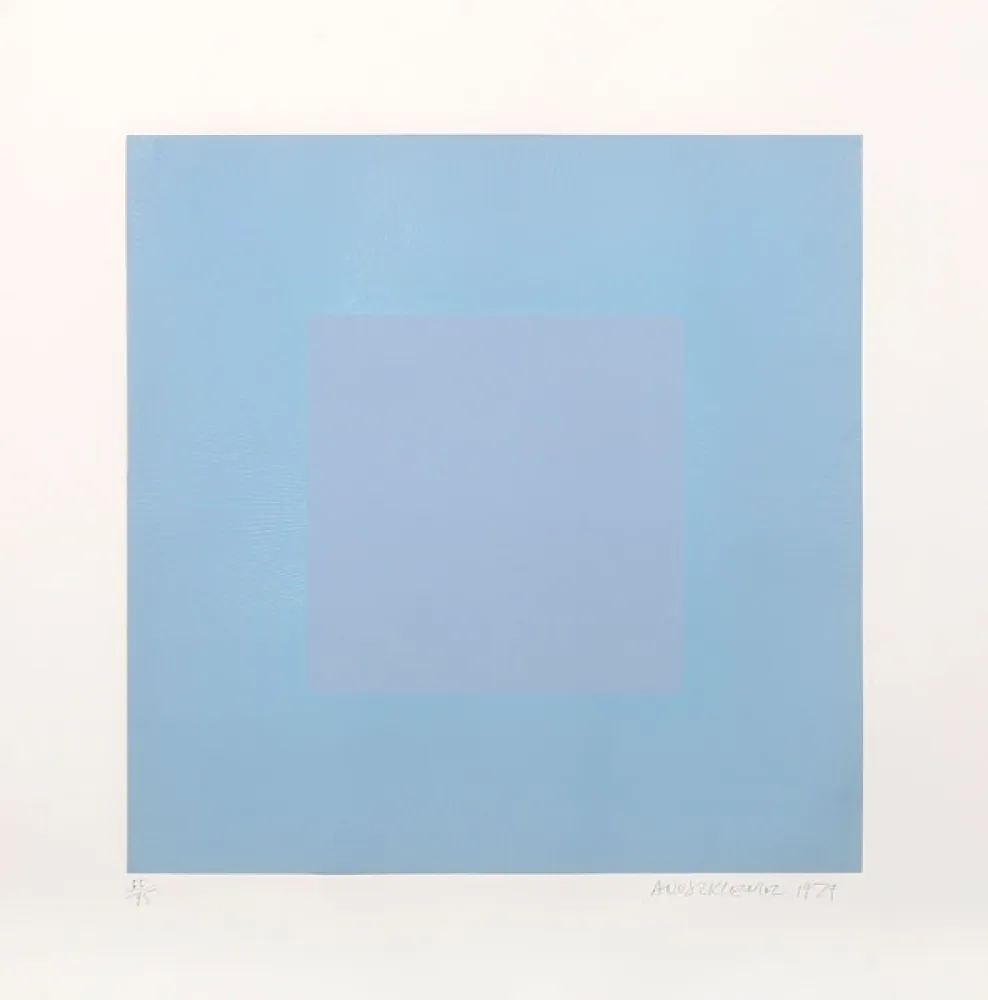 アクチアント Anuszkiewicz - Winter Suite (Light Blue with Light Blue)