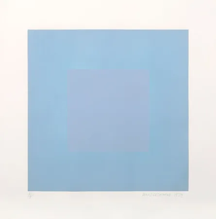 アクチアント Anuszkiewicz - Winter Suite (Light Blue with Light Blue)
