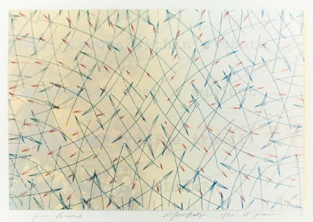 リトグラフ Arakawa - For aimé