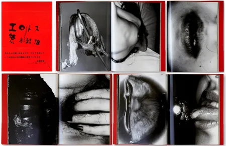 挿絵入り本 Araki - EROTOS (1993)