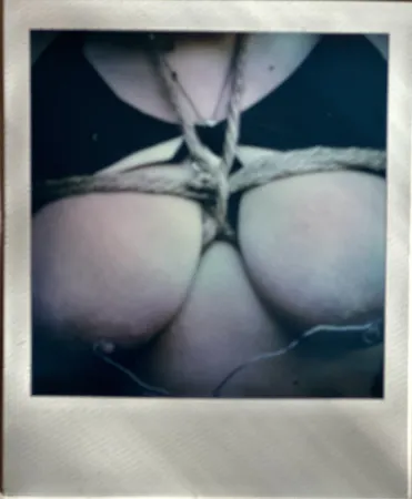 写真 Araki - Nude