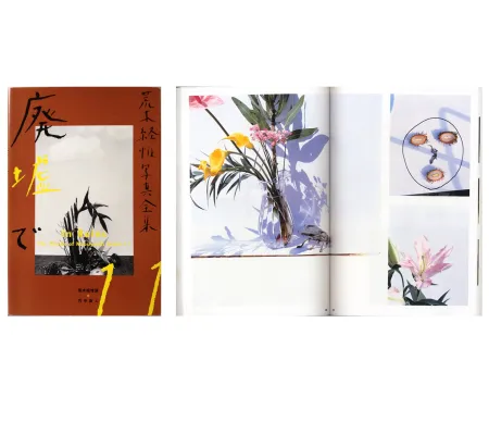 写真 Araki - The Works of Nobuyoshi Araki - n° 11. IN RUINS