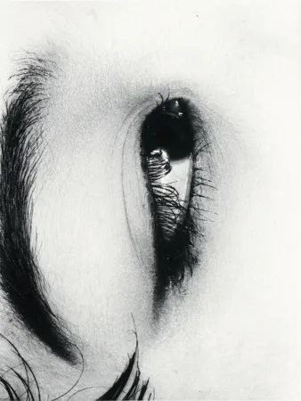 多数の Araki - Untitle from Erotos