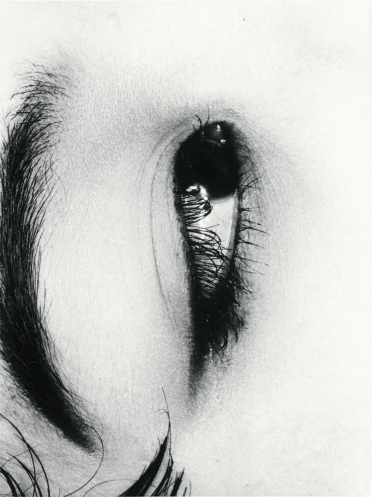 多数の Araki - Untitle from Erotos