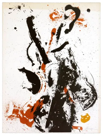 リトグラフ Arman - Eclipse d'éclipses