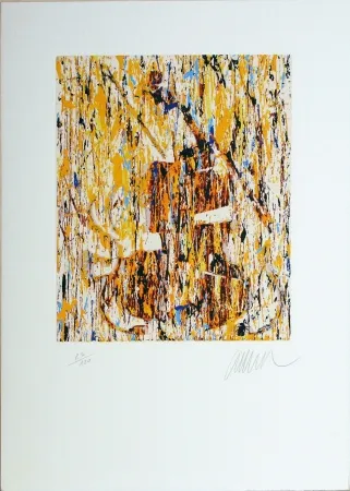 シルクスクリーン Arman - VIOLINO