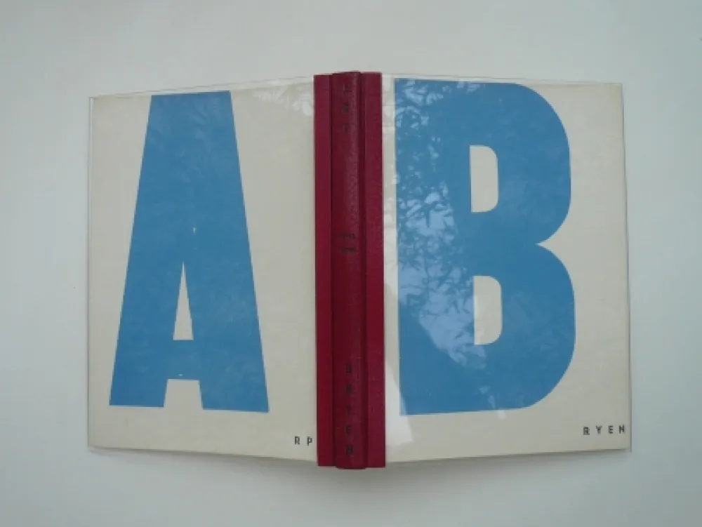 挿絵入り本 Arp - Temps troué